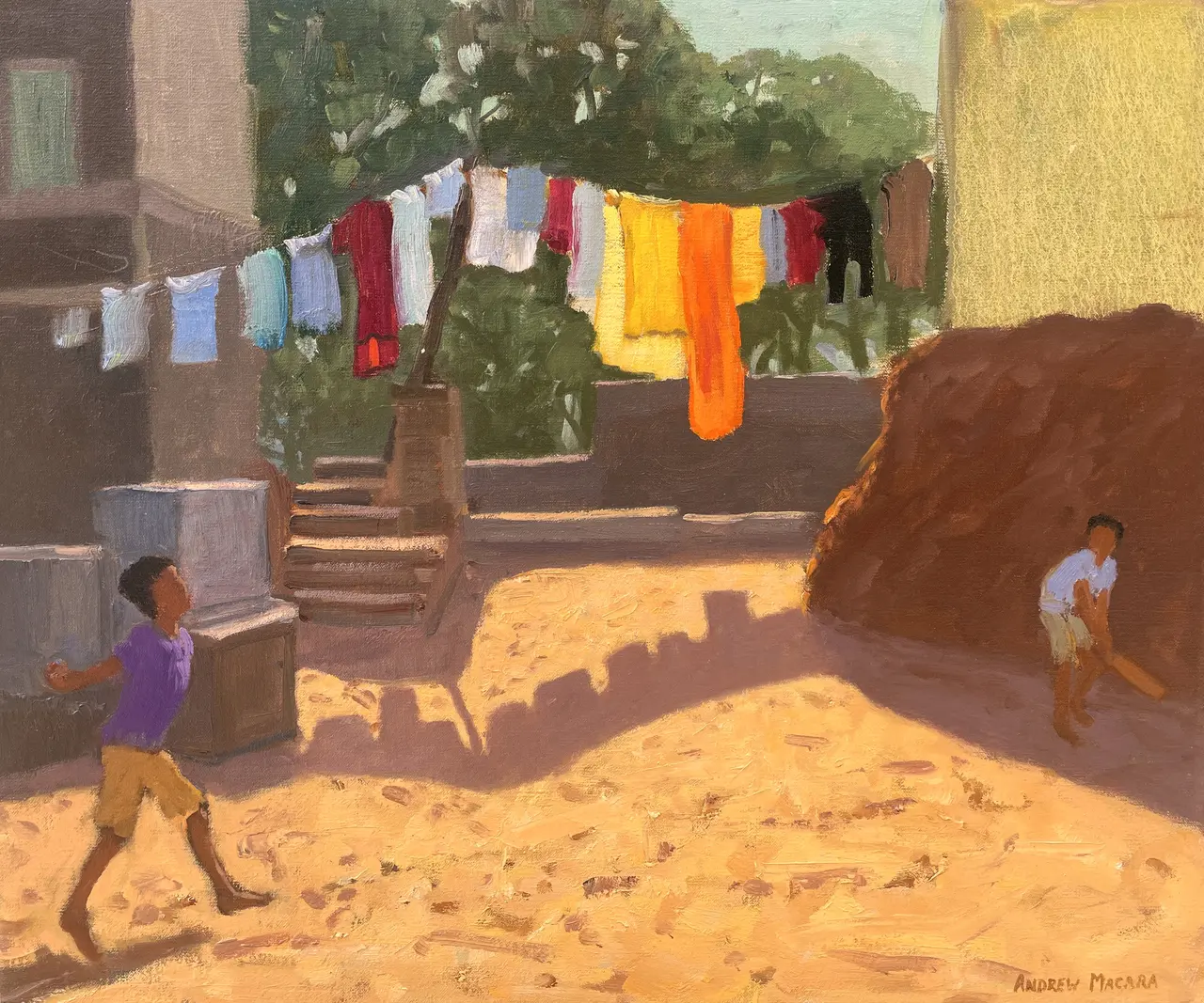 Andrew Macara - cricket and washing line, pushkar, india