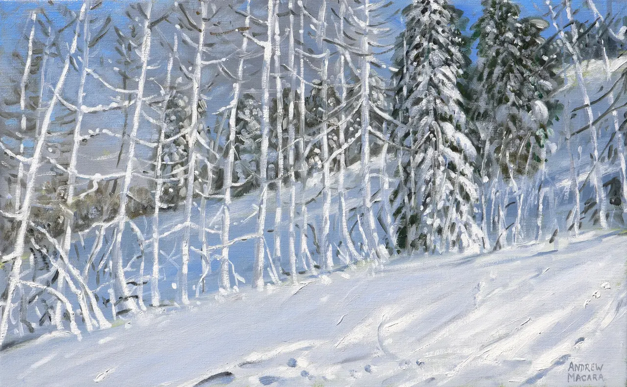 Andrew Macara - snowy trees, les arcs