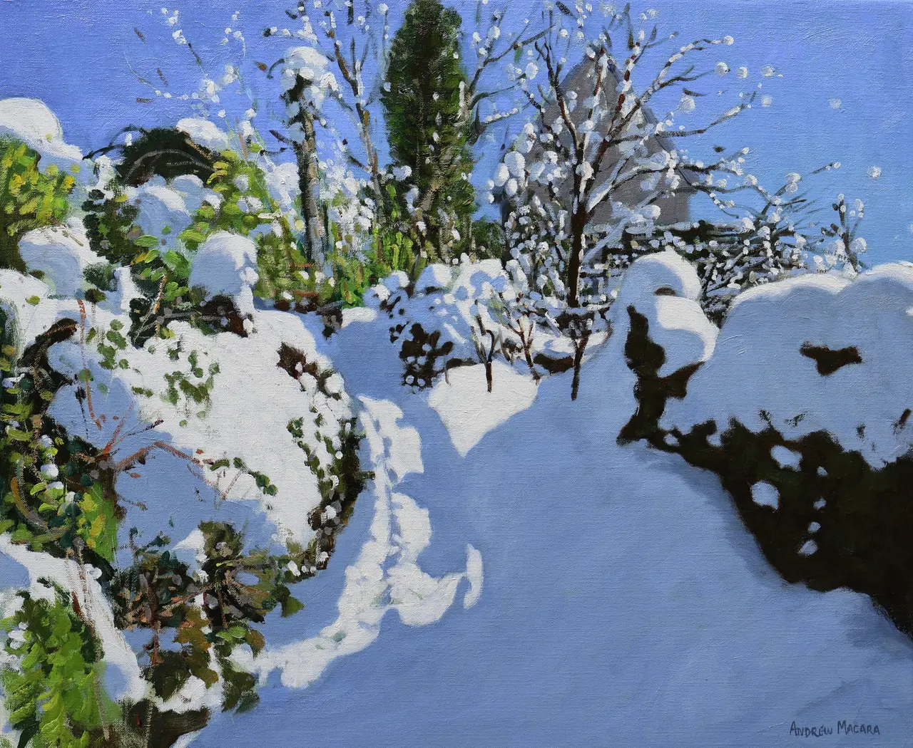 Andrew Macara - fresh snow, wirksworth, derbyshire