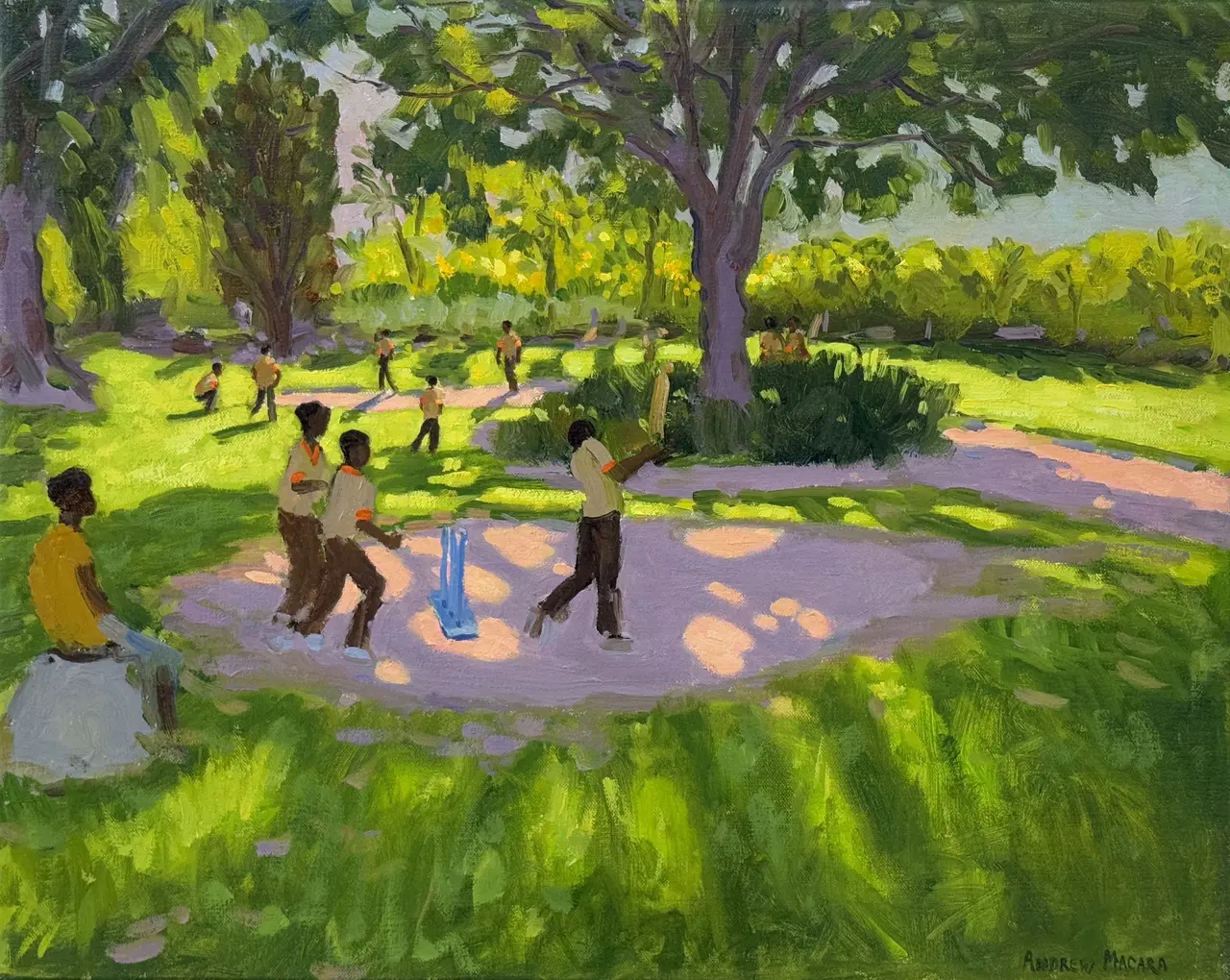 Andrew Macara - cricket practice, botanic gardens, dominica