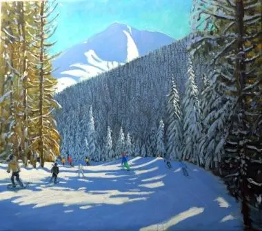 Andrew Macara - beauregard