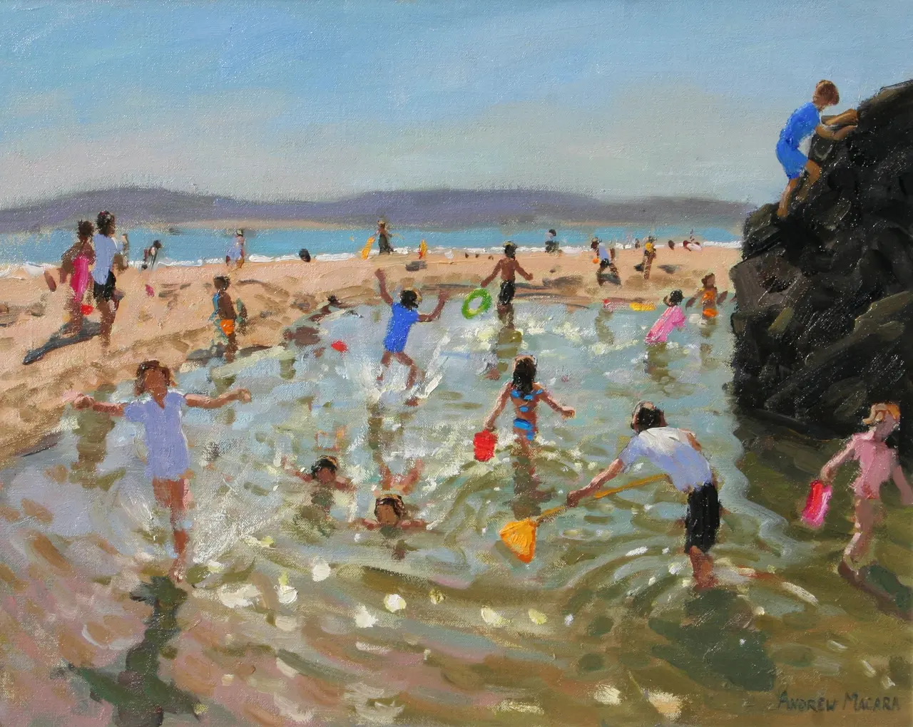 Andrew Macara - rock pool