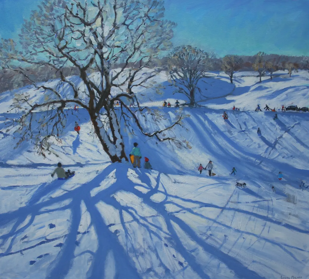 Andrew Macara - sledgers at chatsworth