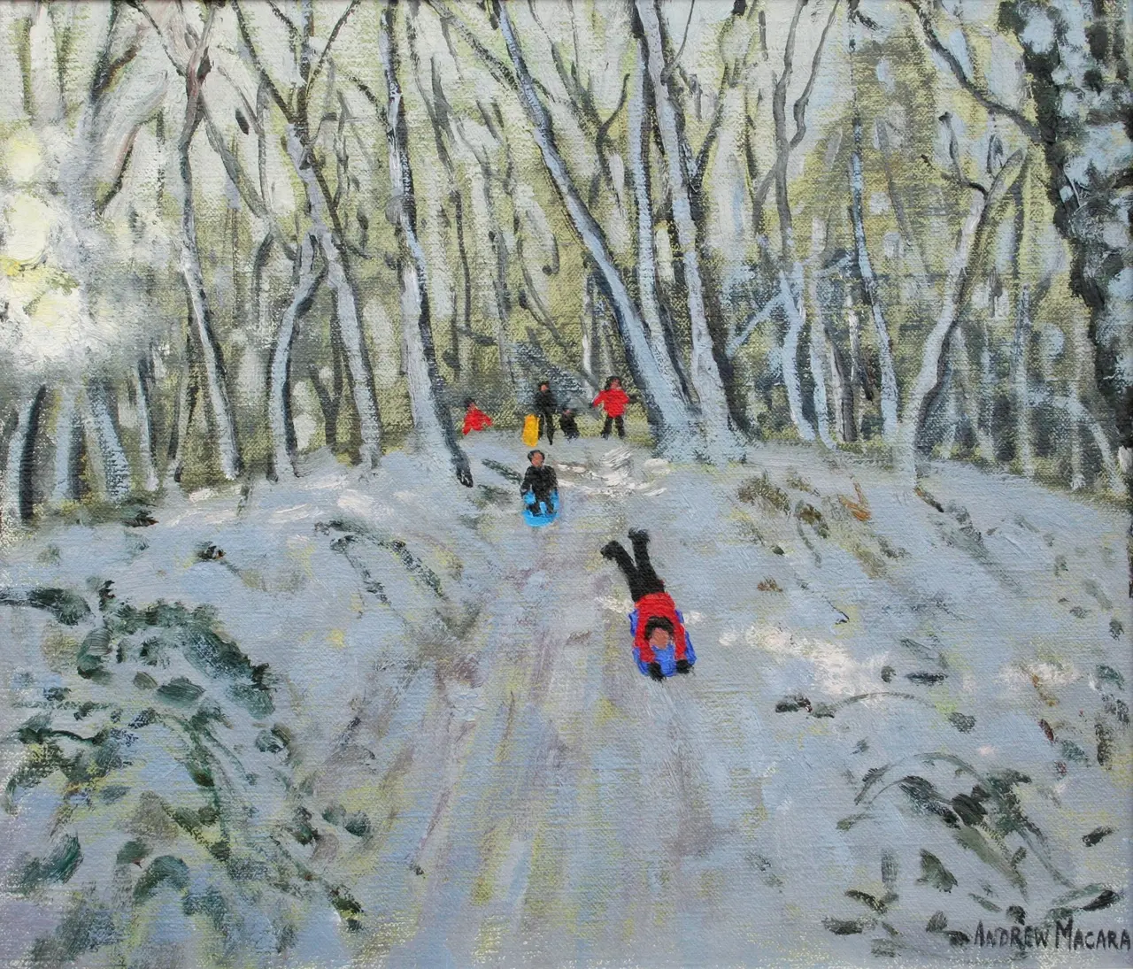 Andrew Macara - sledging in allestree woods