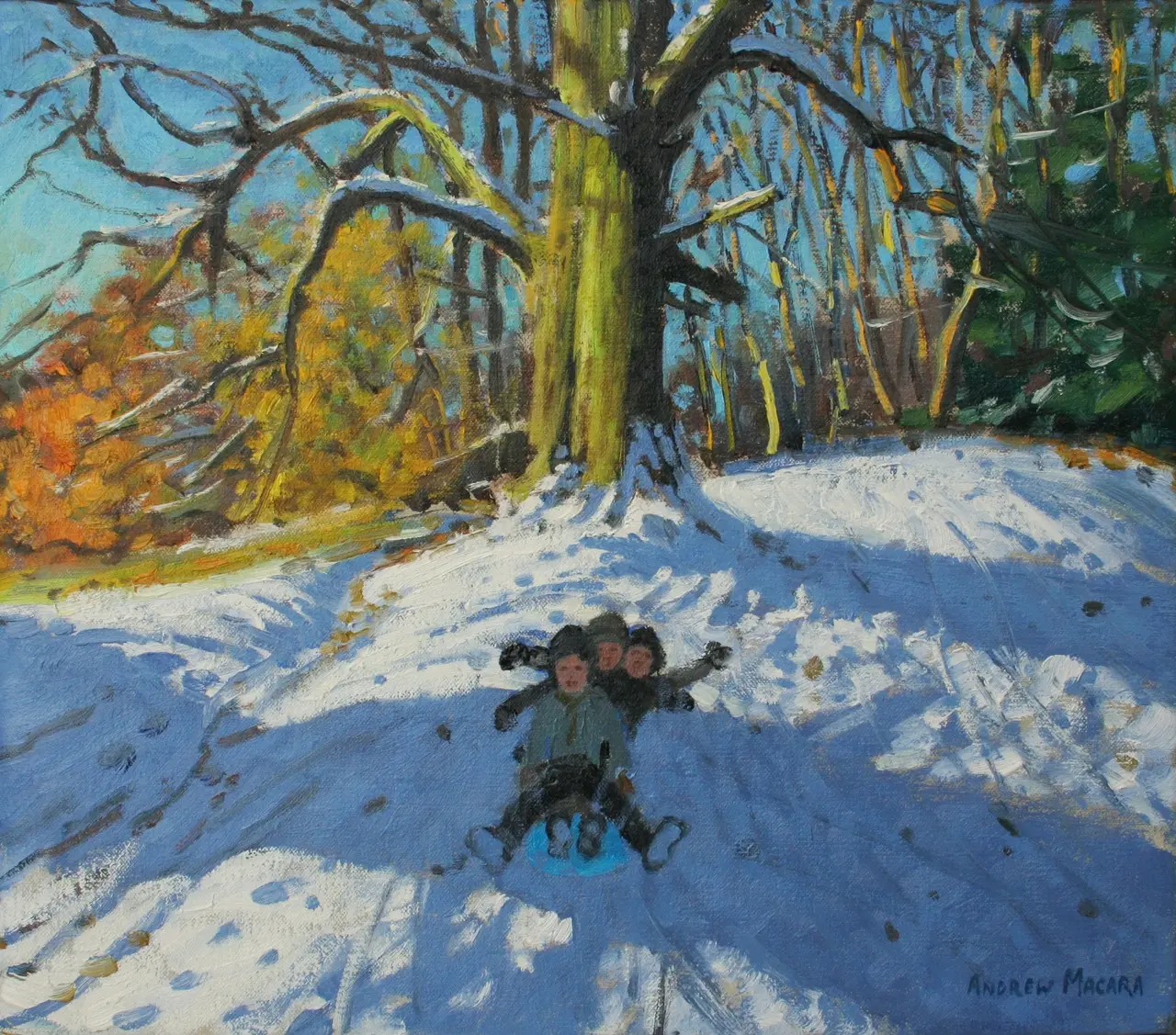Andrew Macara - three on a sledge