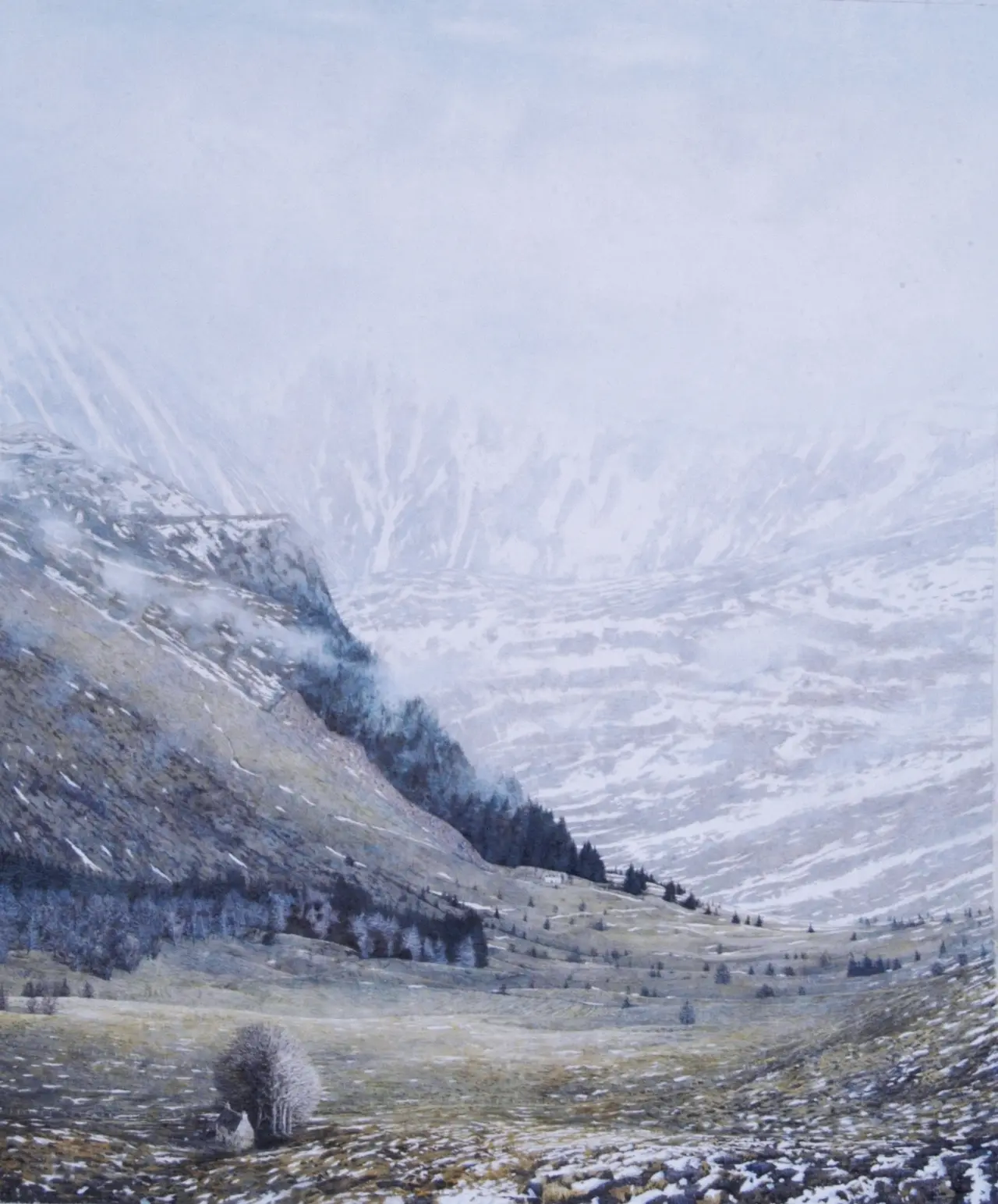 Andrew Scott George - glen isla winter