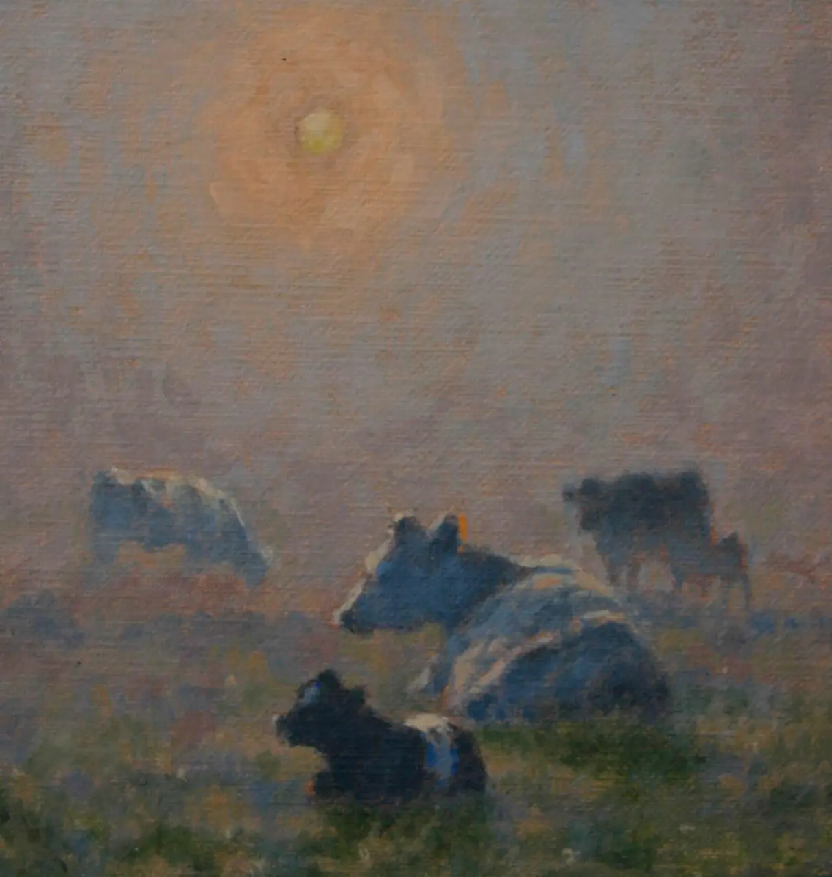 Ann Heat - two white cows