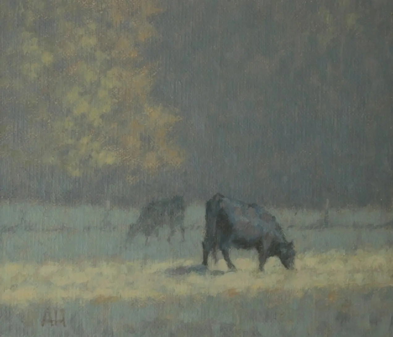 Ann Heat - cross light
