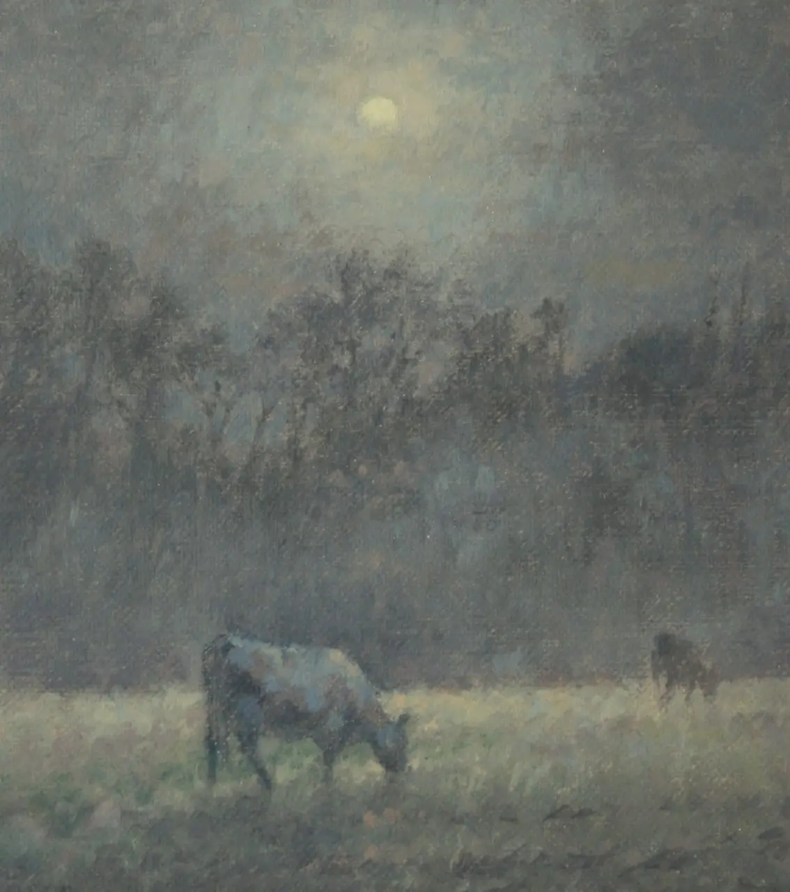 Ann Heat - black cows at night