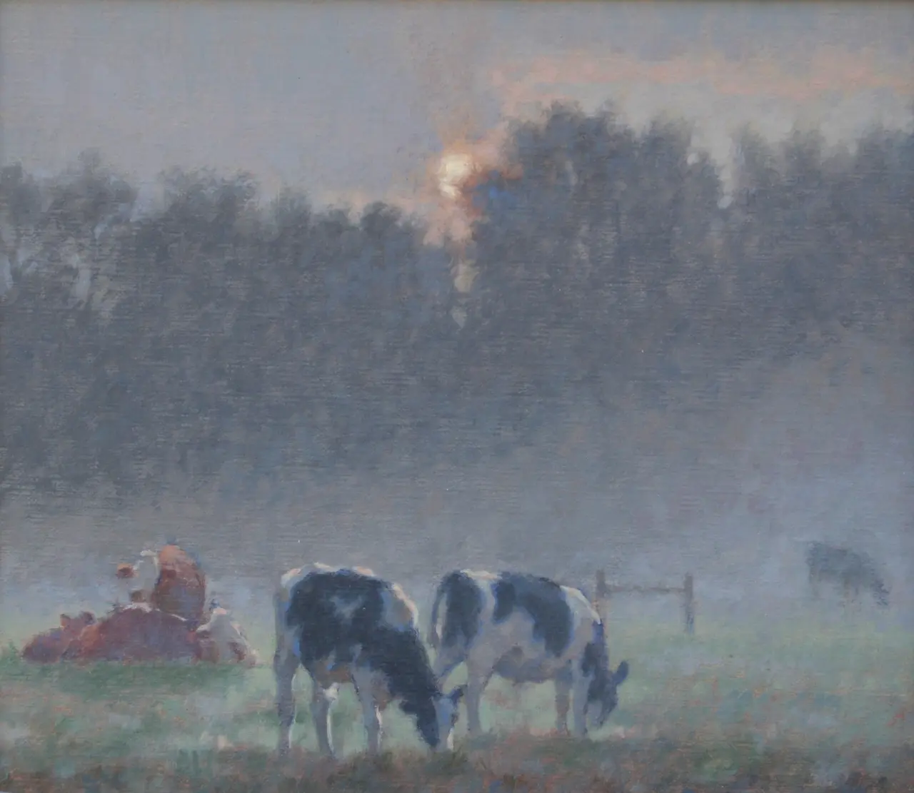 Ann Heat - cows, calves and sun mid way