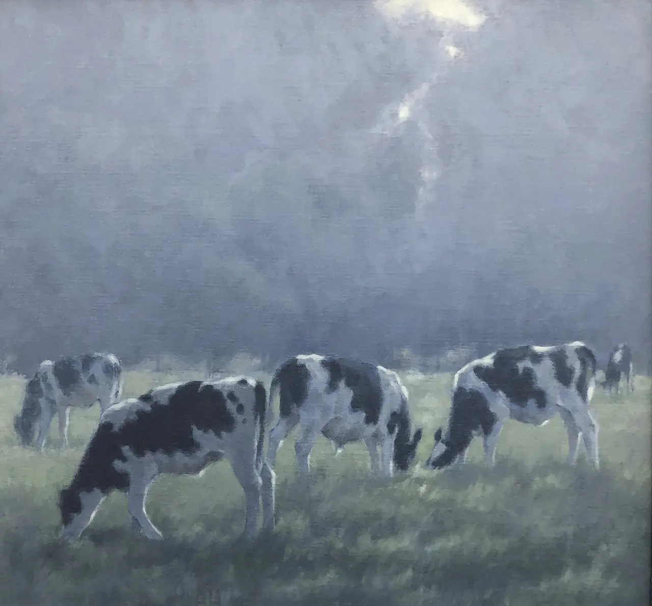 Ann Heat - young cattle