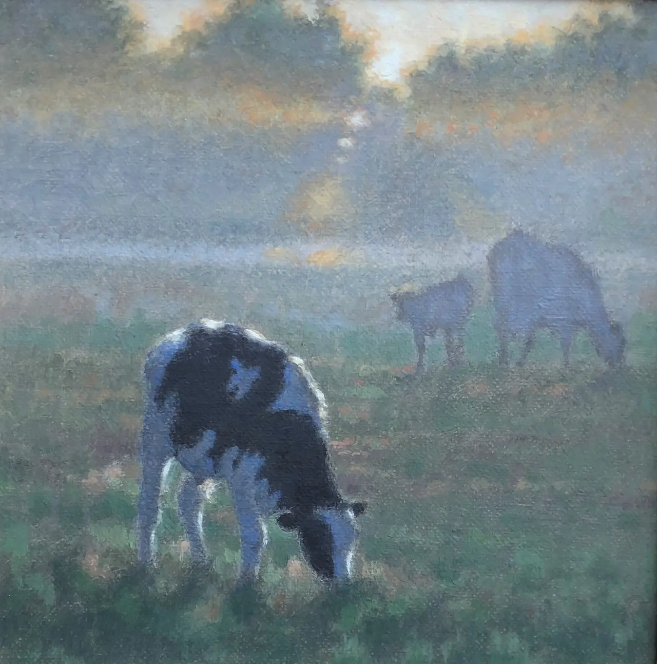 Ann Heat - first of the sun