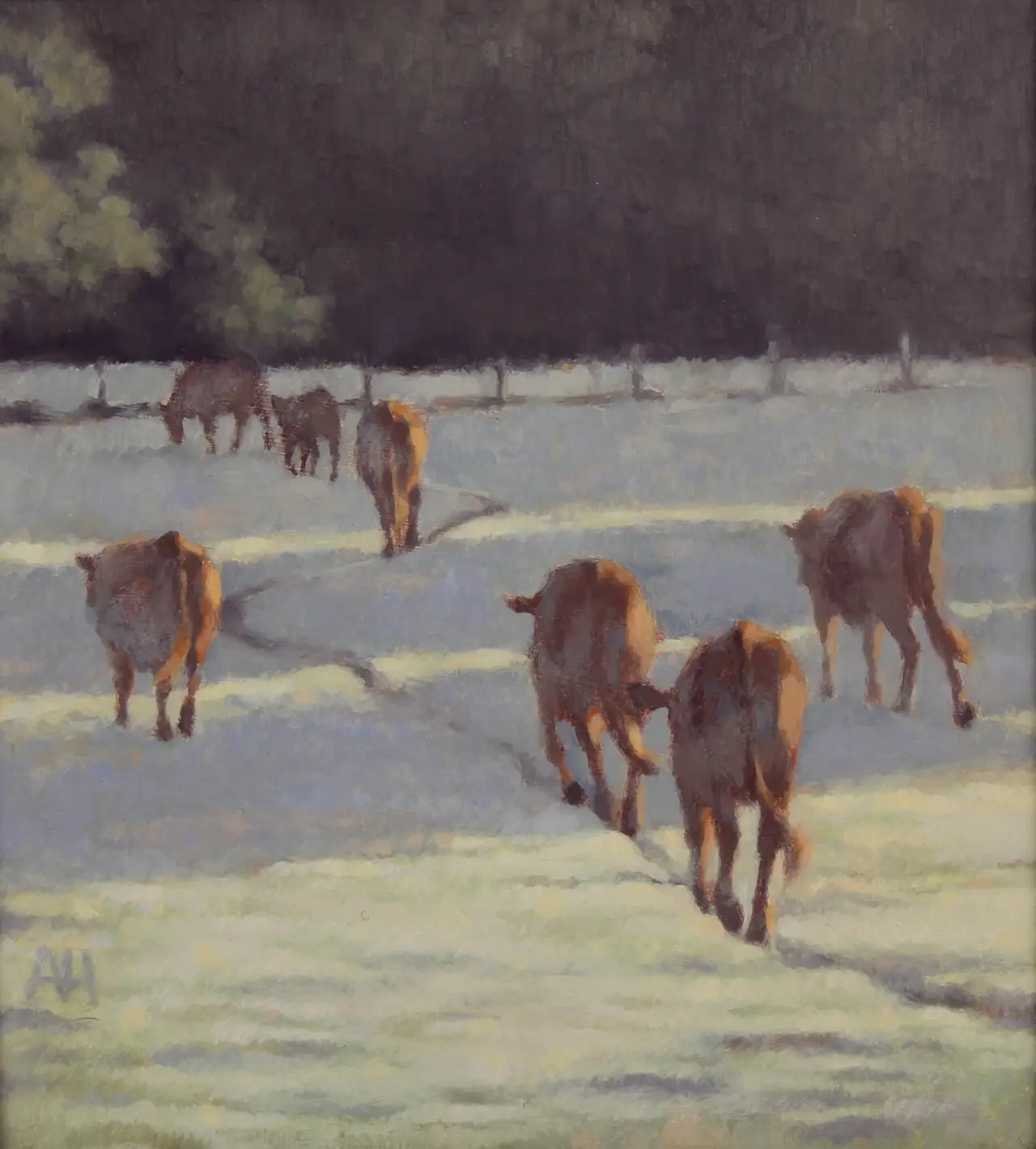 Ann Heat - cattle - frosty morning