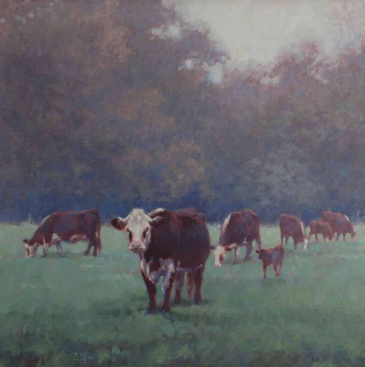 Ann Heat - hereford cross