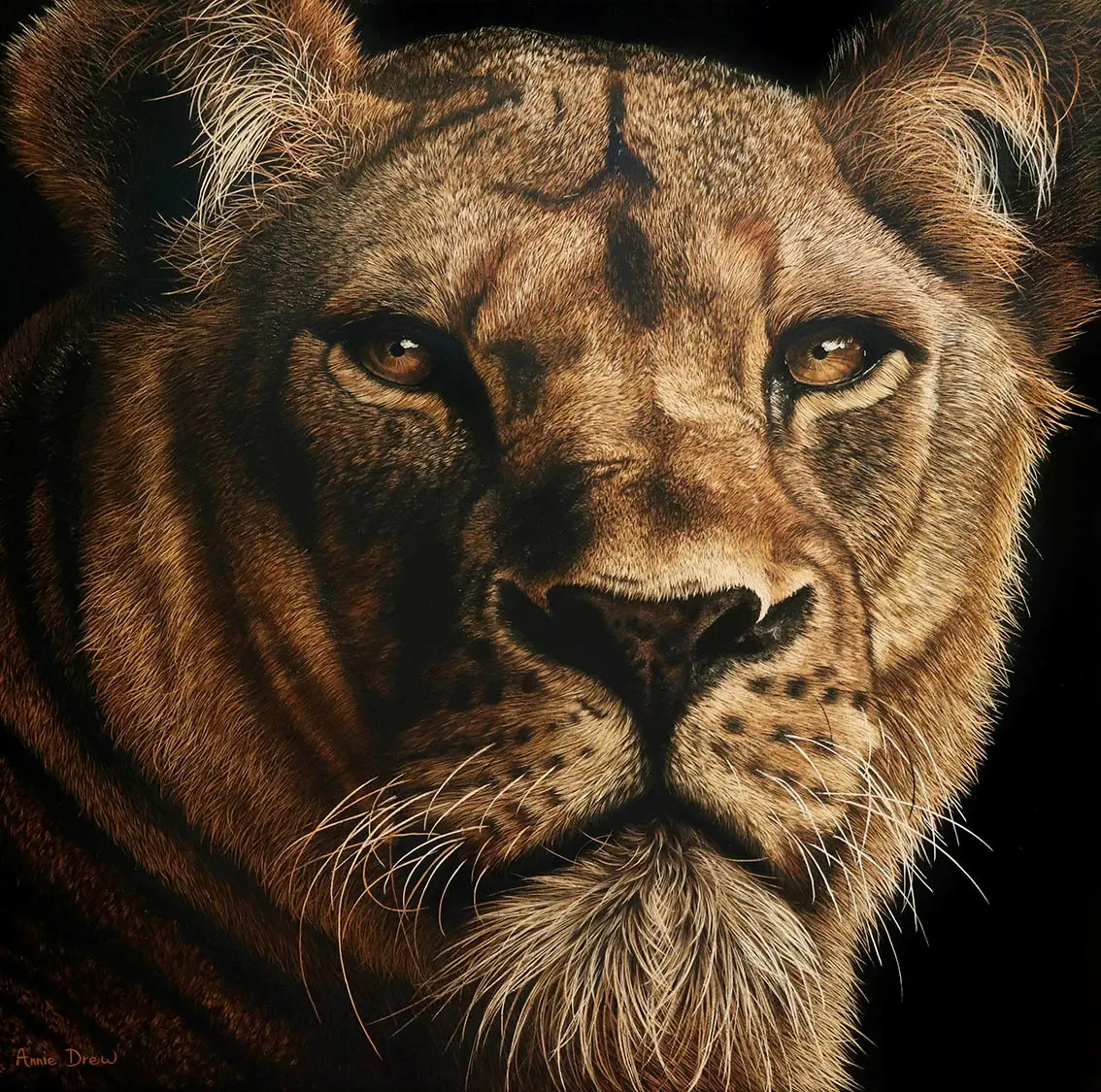 Annie Drew - lioness