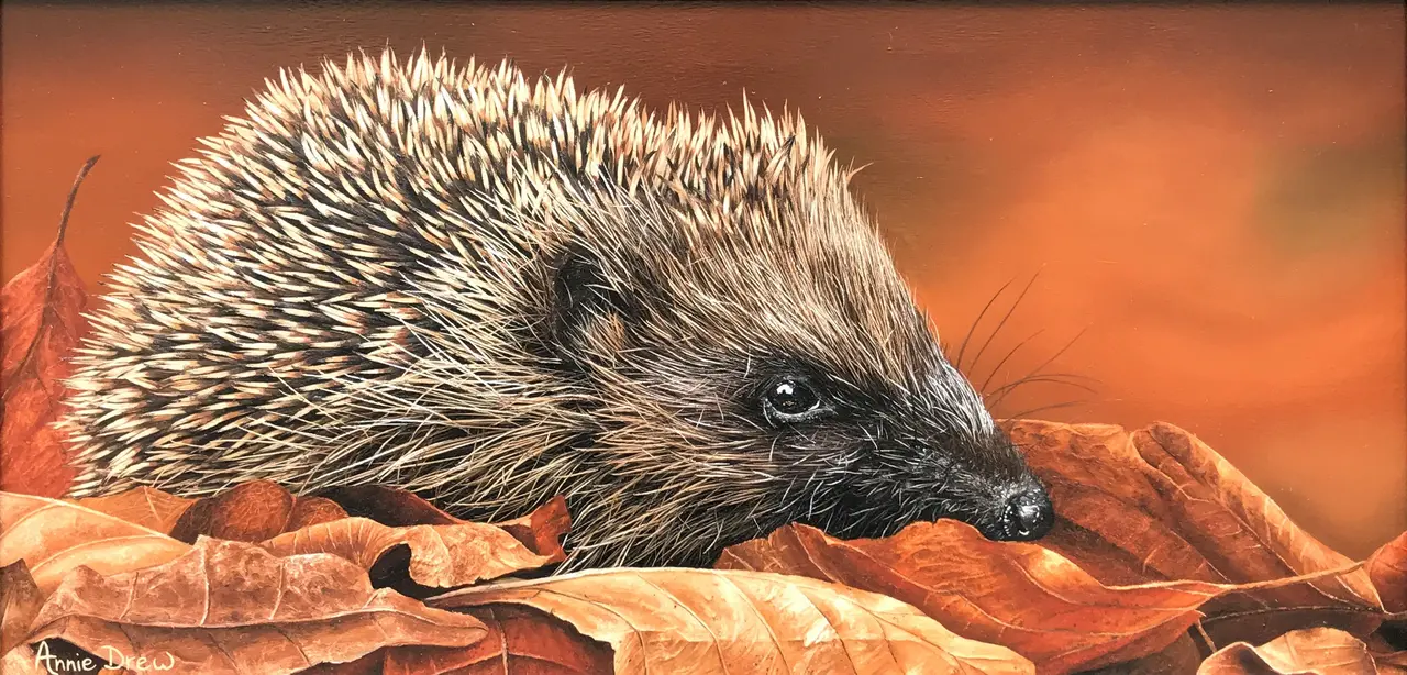 Annie Drew - hedgehog