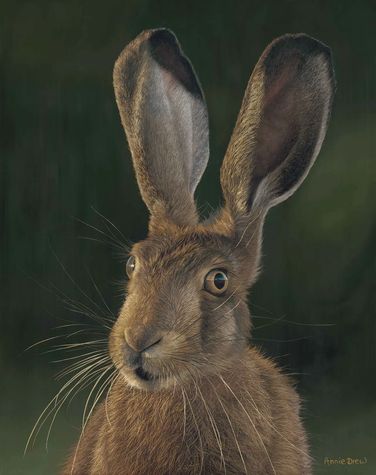 Annie Drew - hare vi