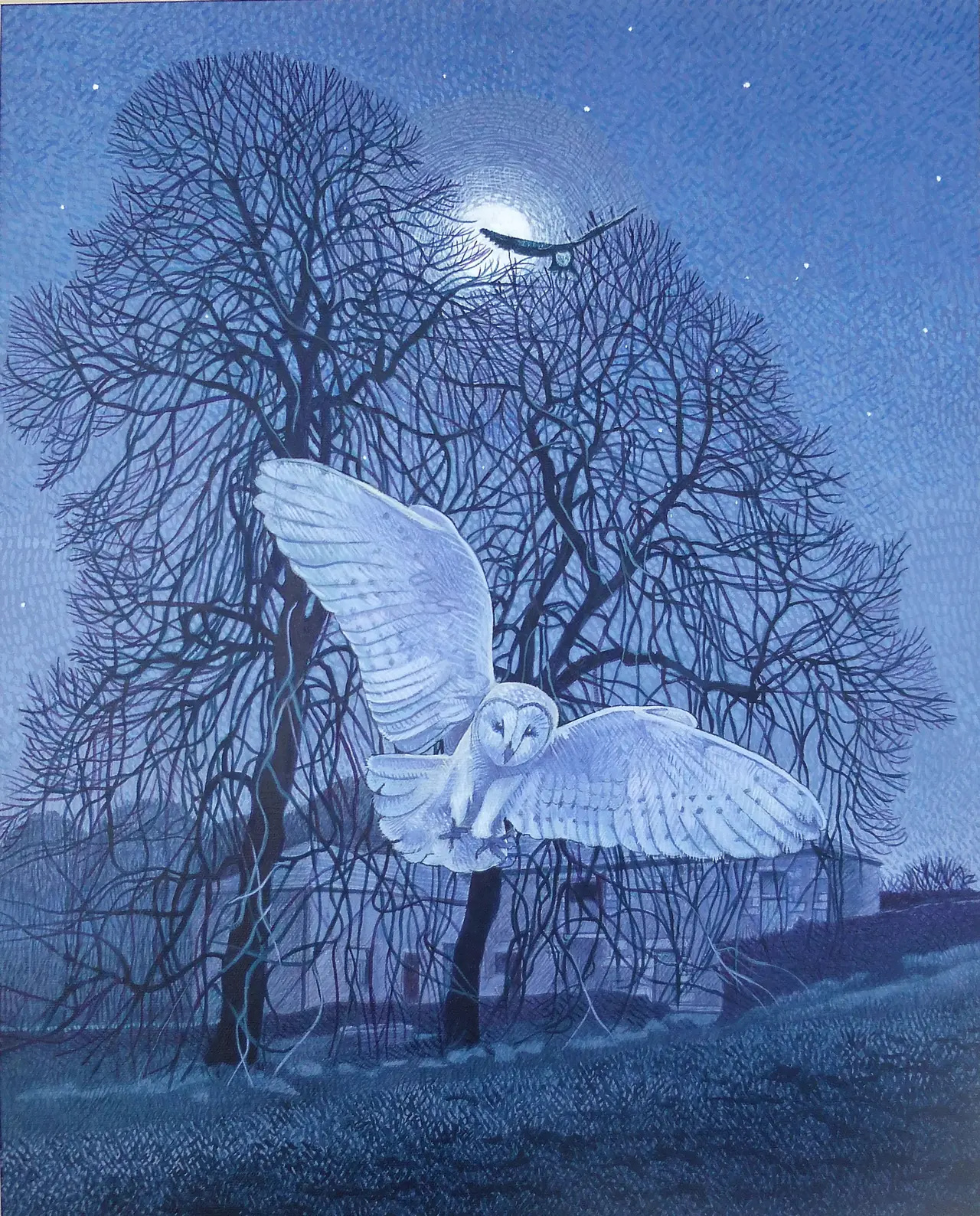 Annie Ovenden - owls in the night