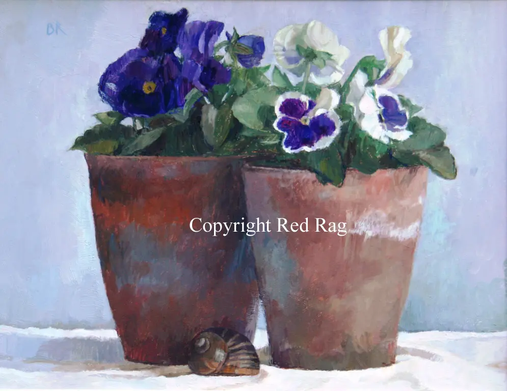 Barbara Richardson - pansies and a snail's shell