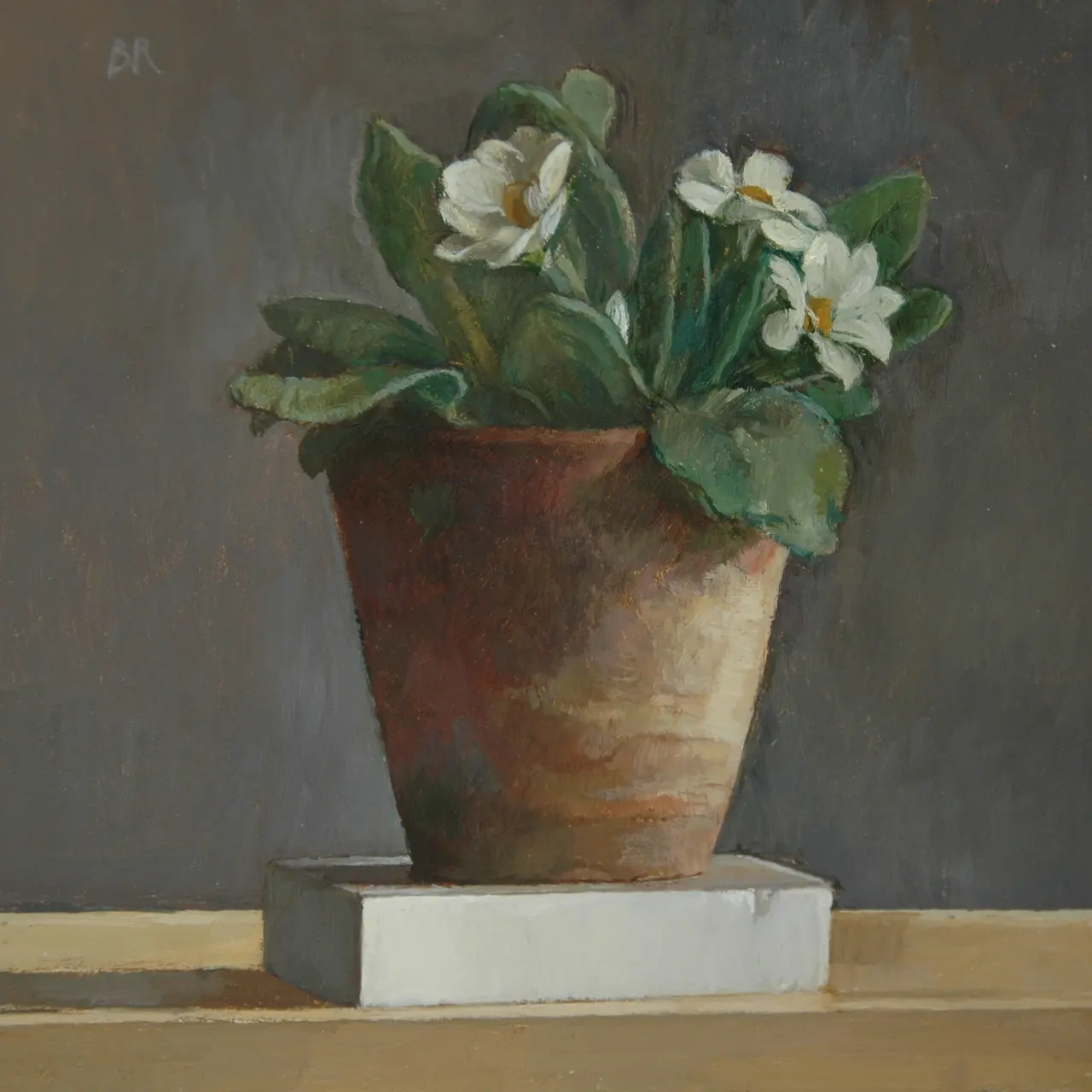 Barbara Richardson - primrose