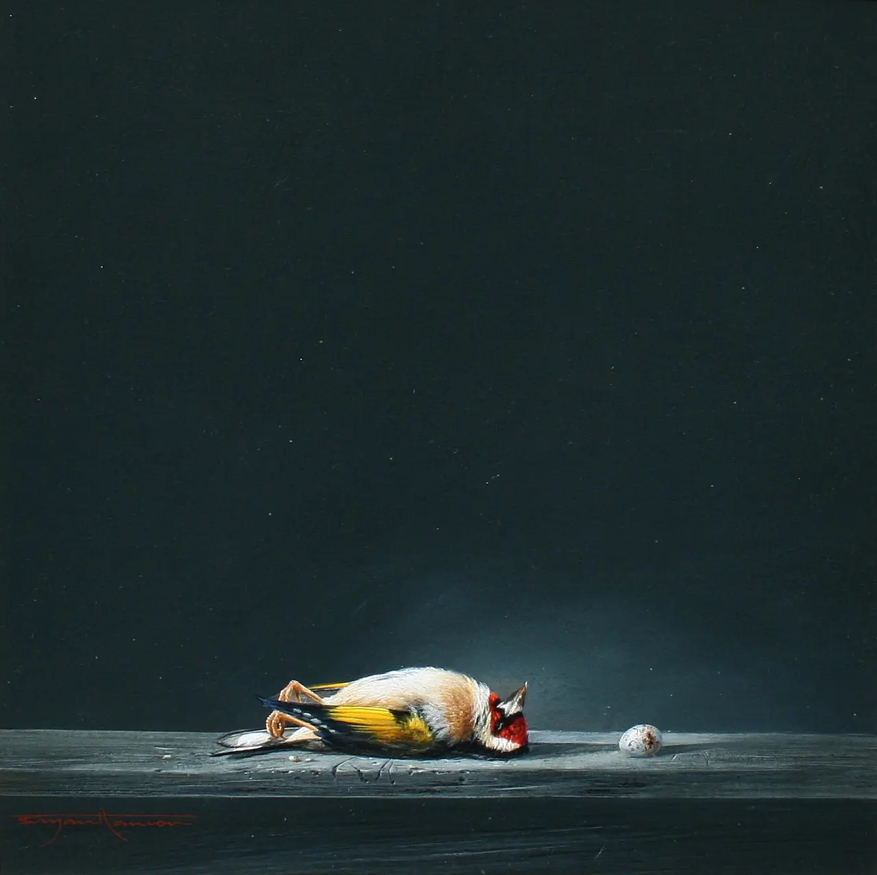 Bryan Hanlon - still life, goldfinch and egg