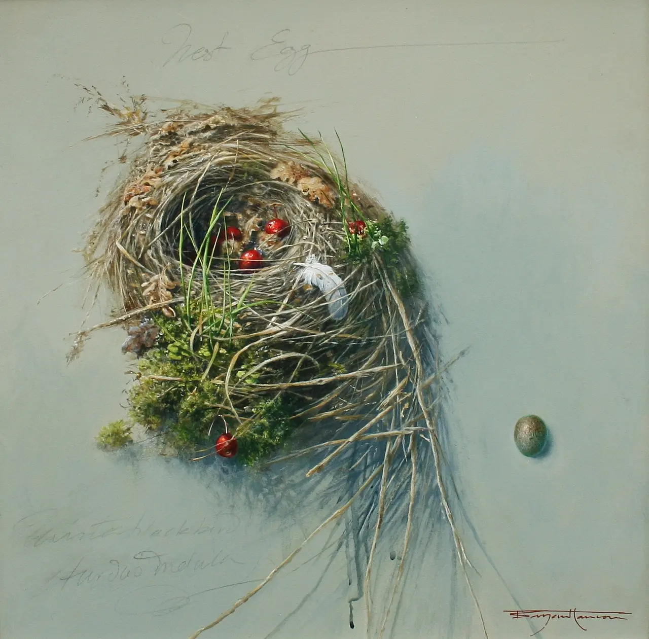 Bryan Hanlon - nest egg winter black bird