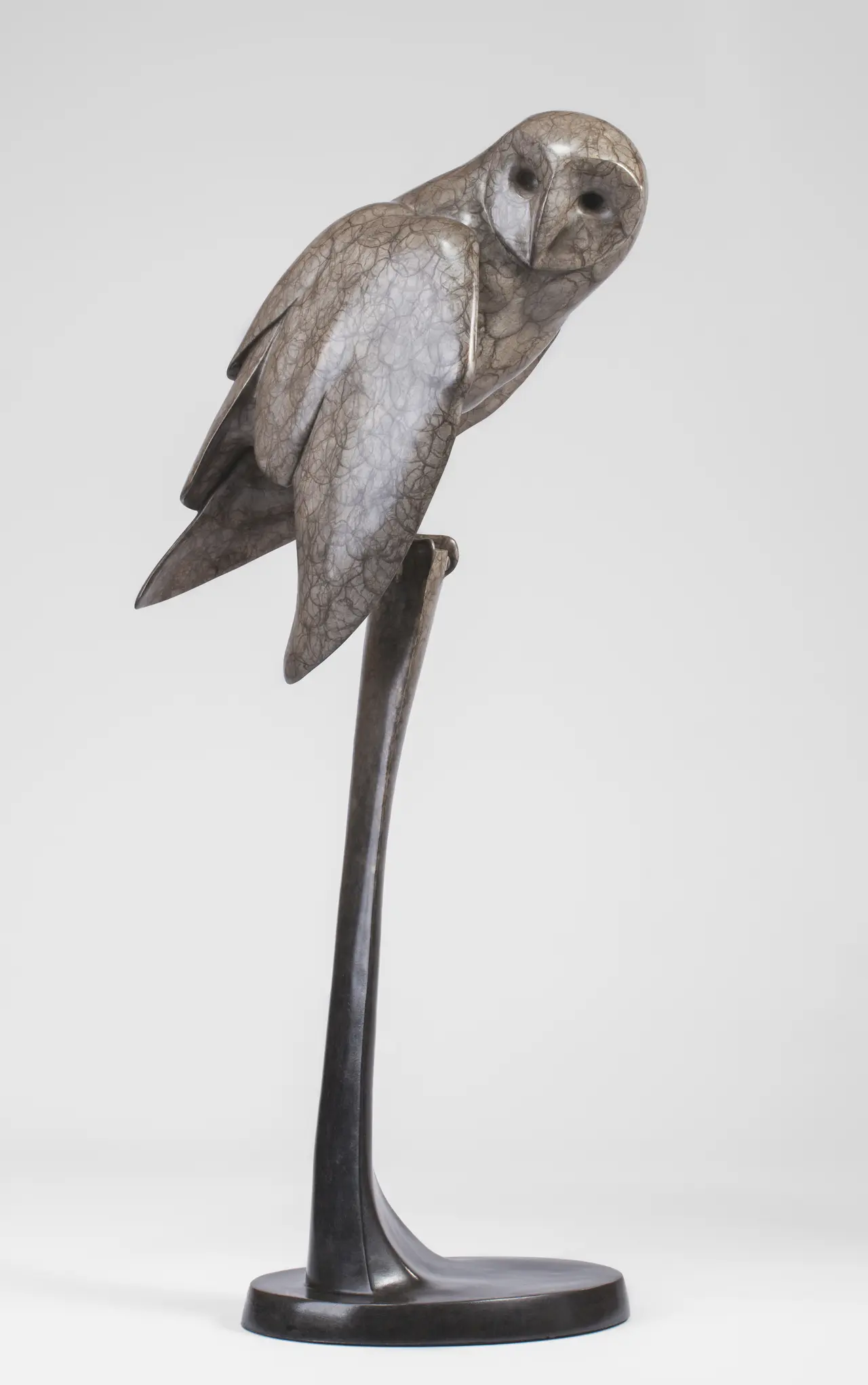 Carl Longworth - barn owl iii (edition 9/25)