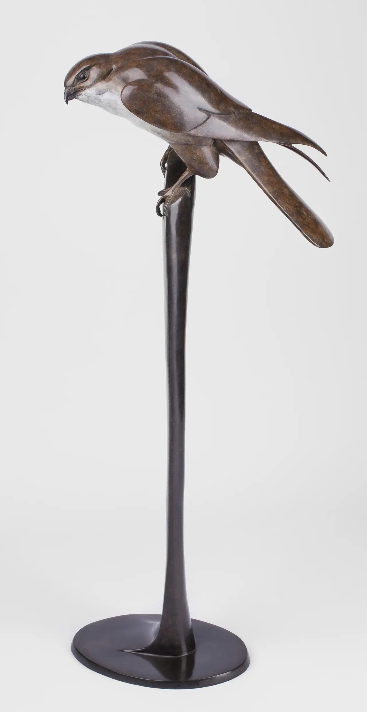 Carl Longworth - kestrel (edition 14/25)