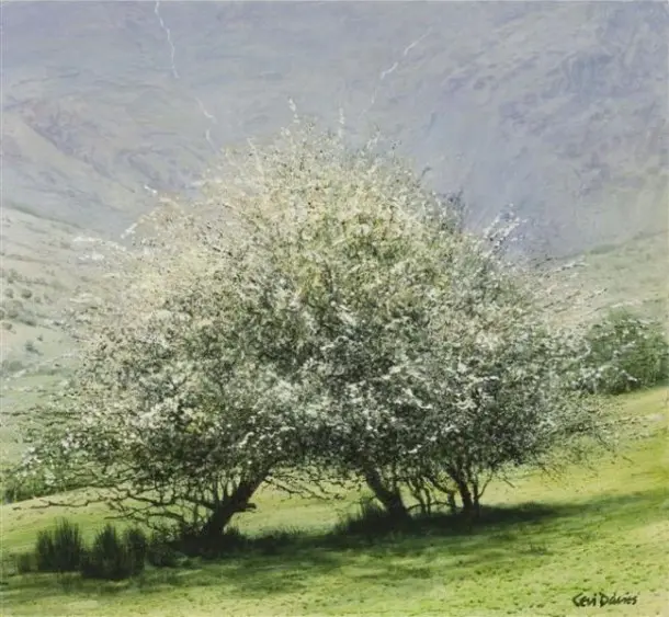 Ceri Auckland Davies - route to the arrans
