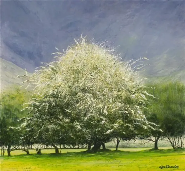 Ceri Auckland Davies - easter tree