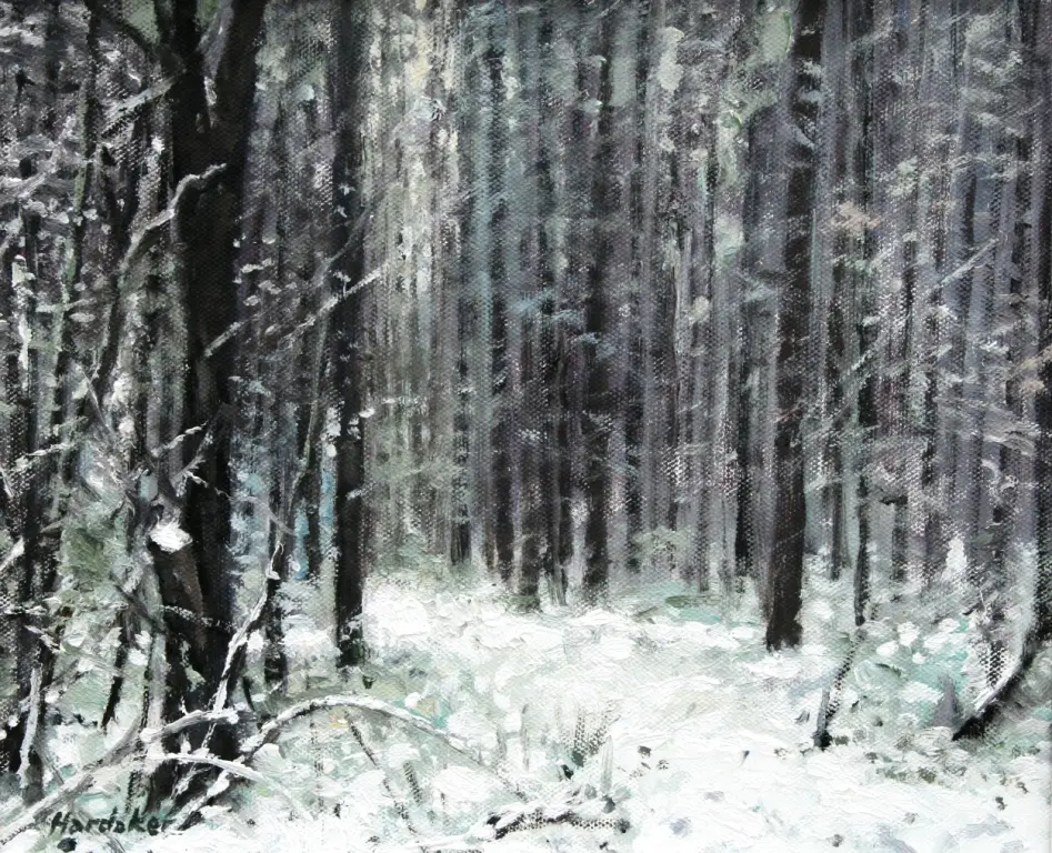 Charles Hardaker - path through the pines
