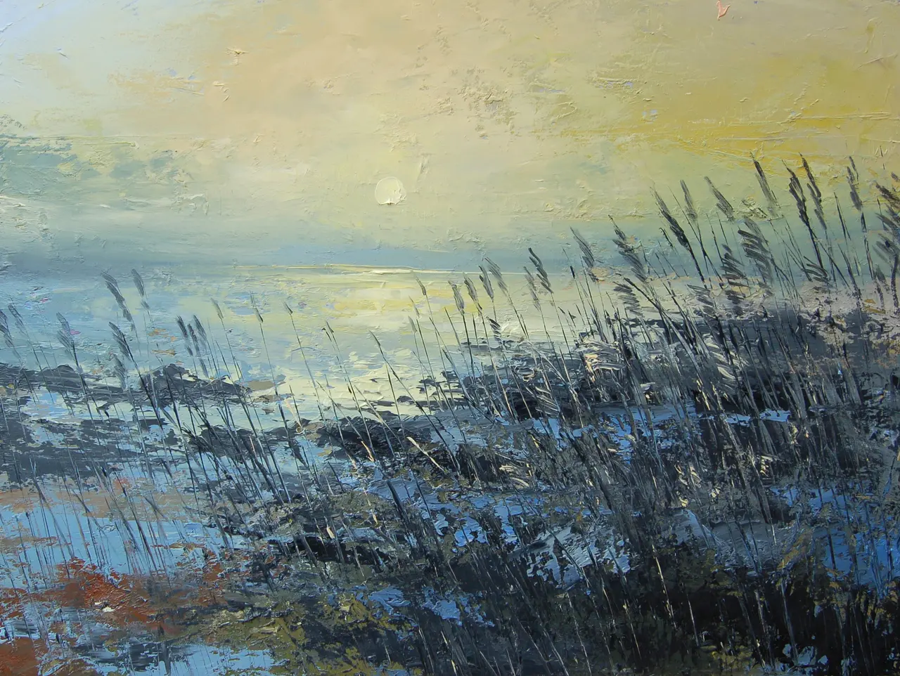 Colin Carruthers - sunlit grasses
