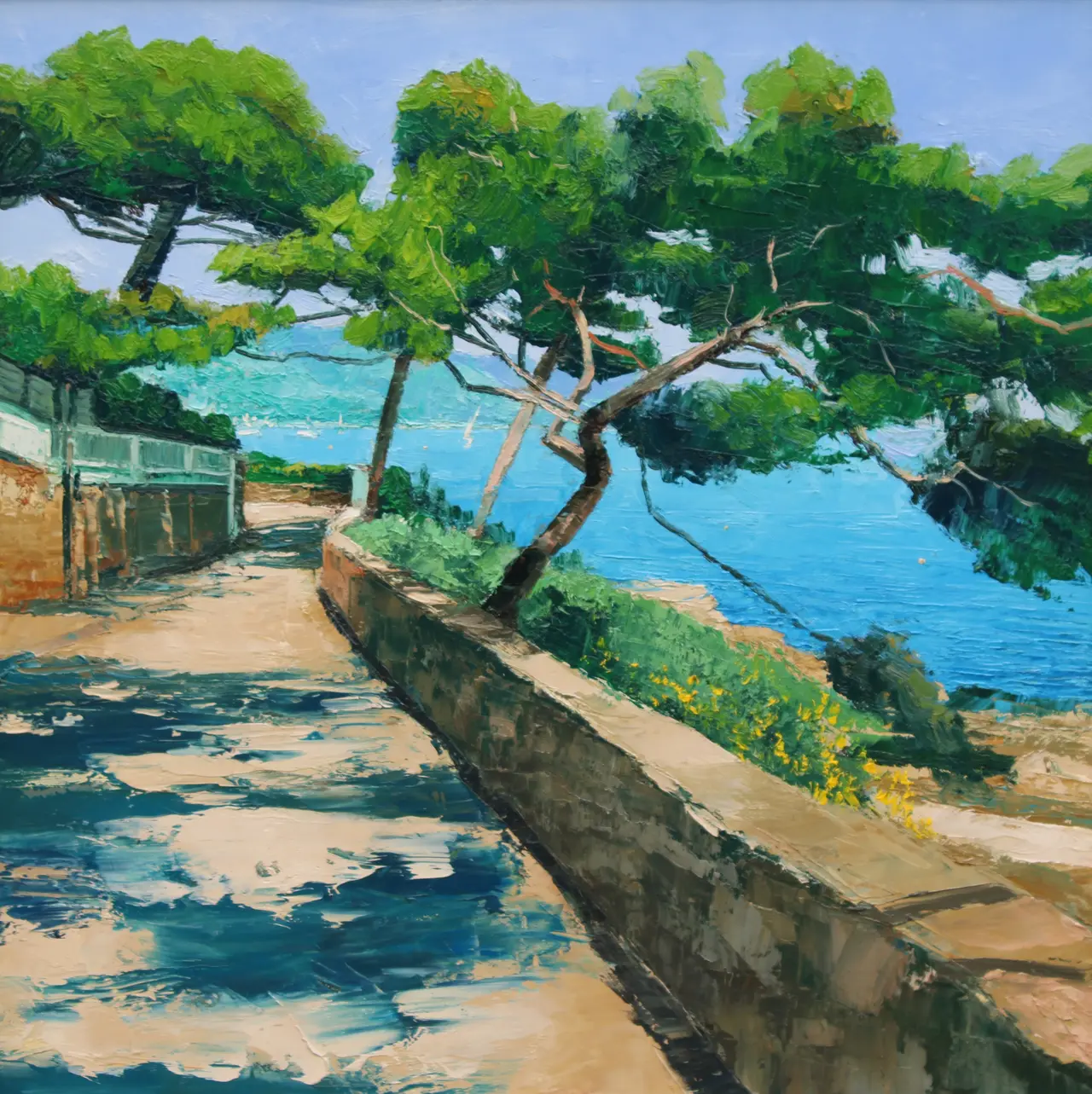 Colin Carruthers - pines, cote d'azur