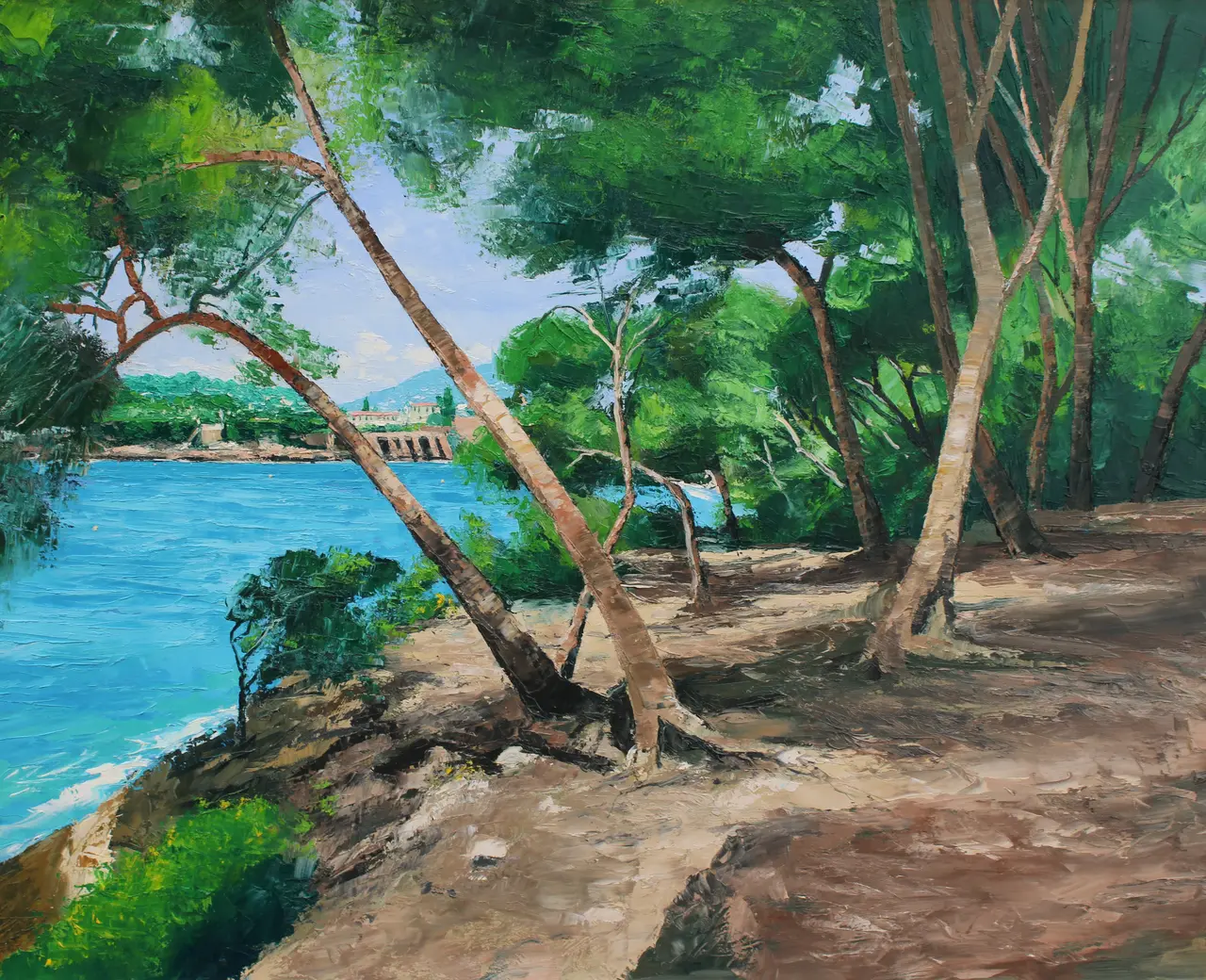 Colin Carruthers - shadows and pines, cote d'azur