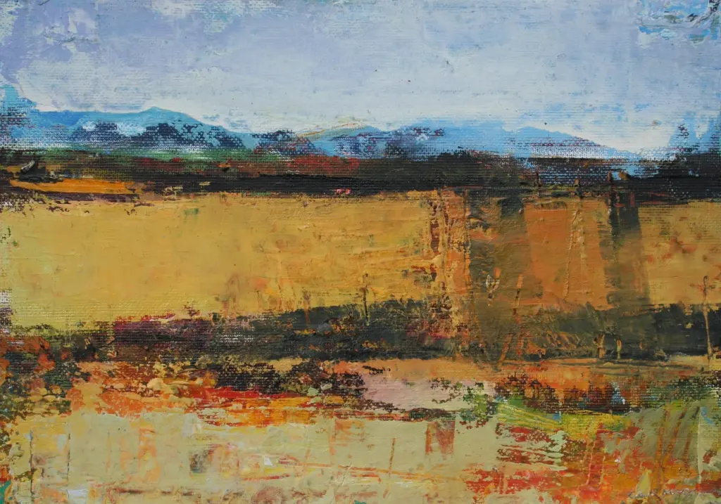Cormac O'leary - sligo fields