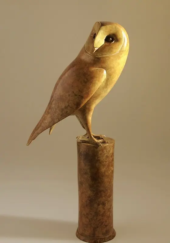 Damien Rochford - barn owl