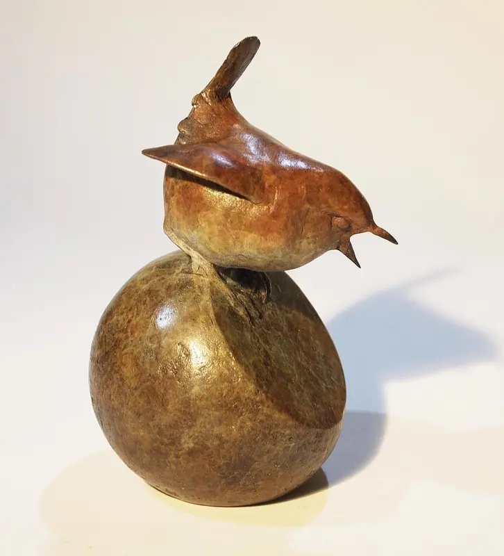 Damien Rochford - wren