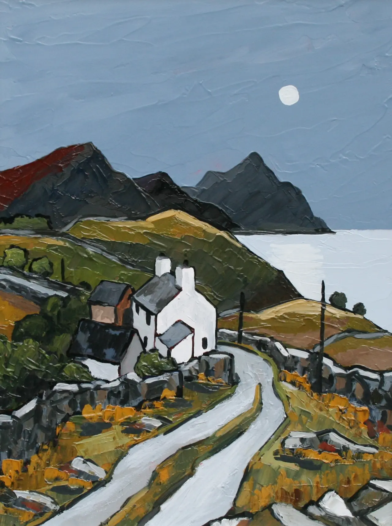 David Barnes - farm above clynnog