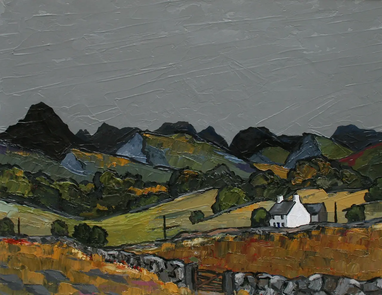 David Barnes - snowdonia from above pentre
