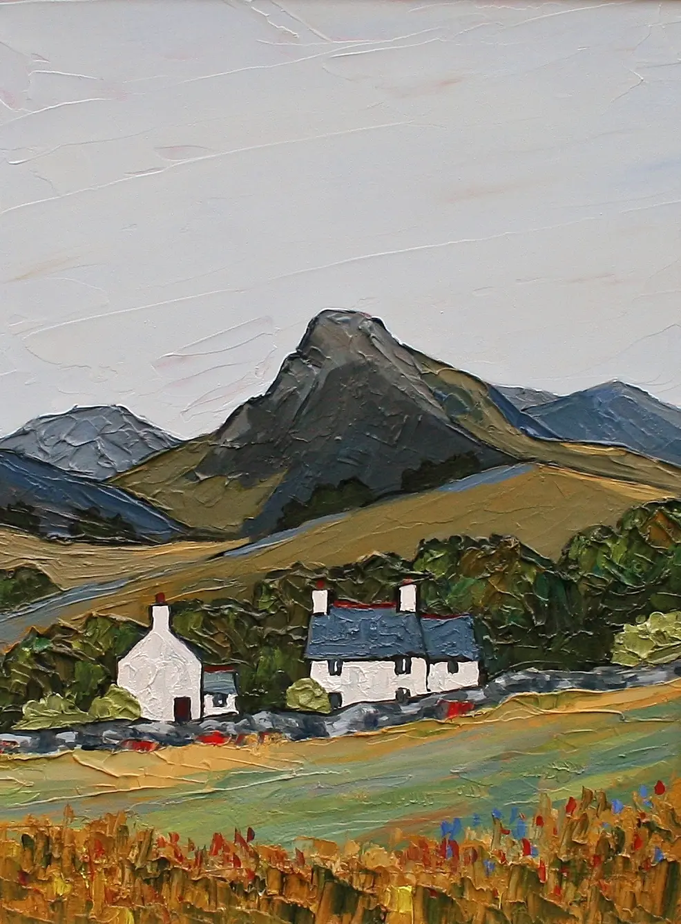 David Barnes - cnicht