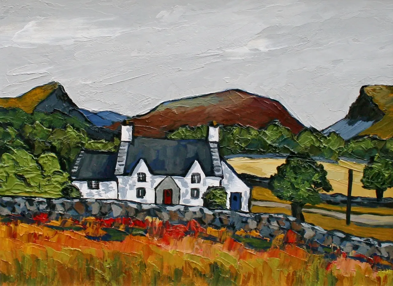 David Barnes - cottage in the moelwyns