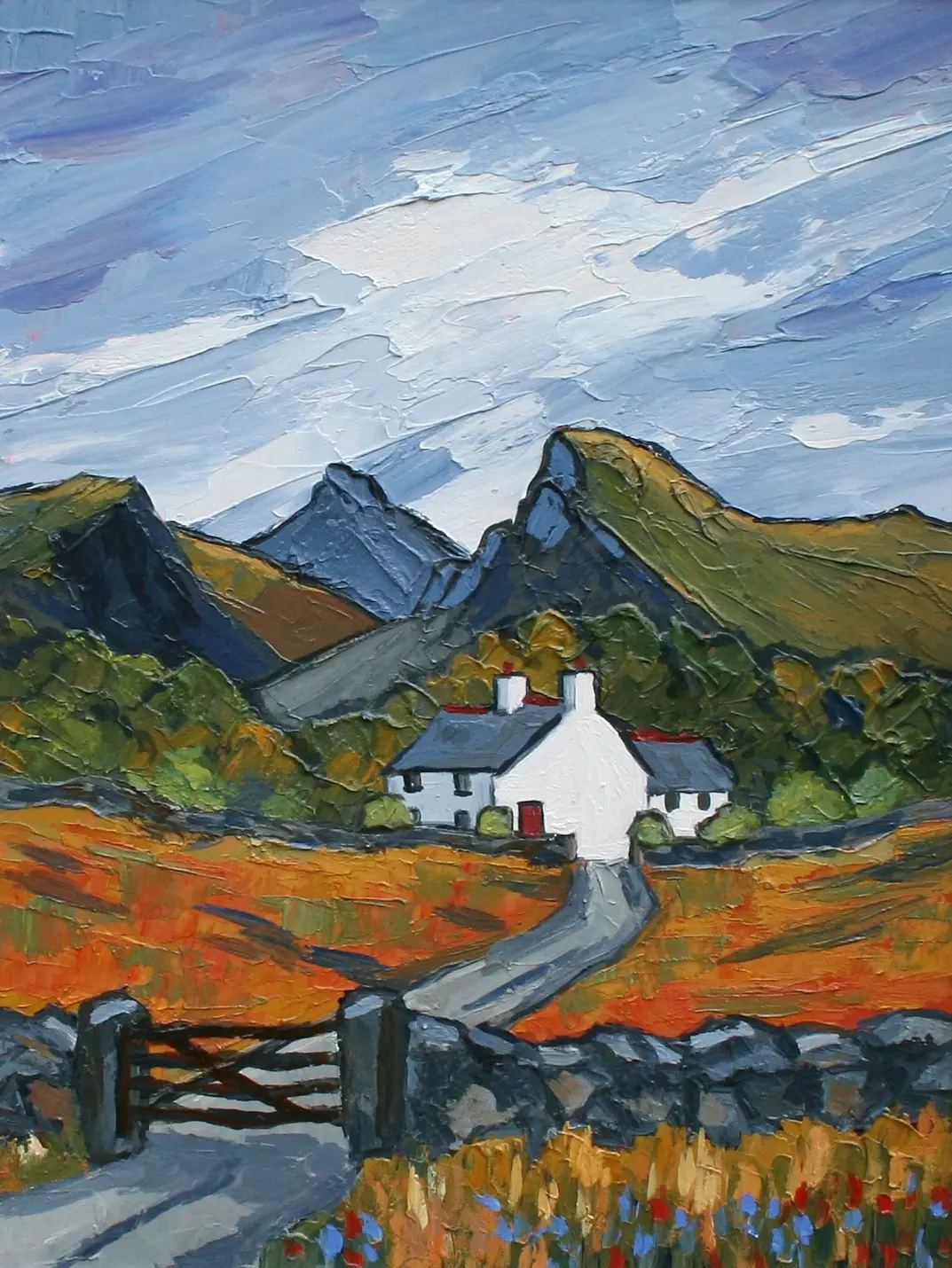 David Barnes - carneddau farm