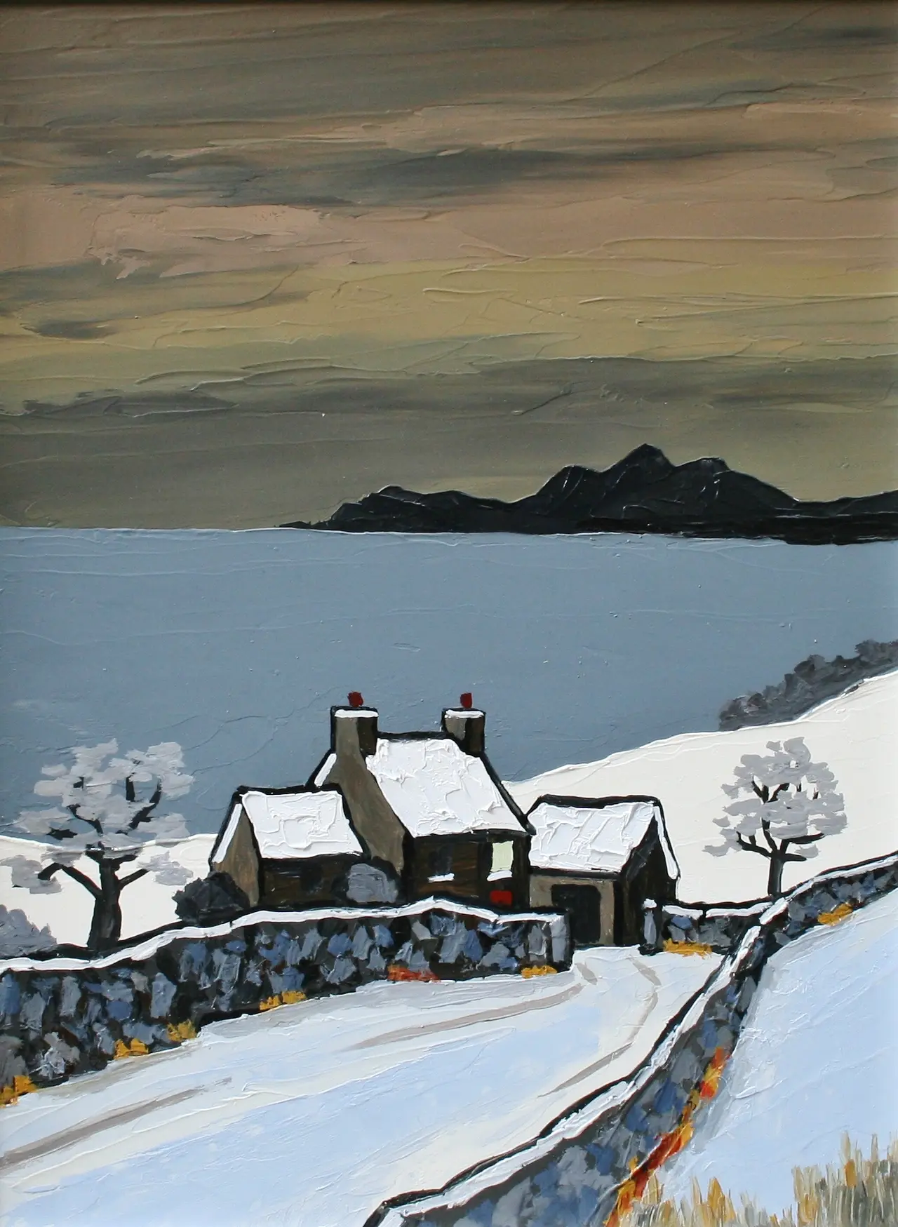 David Barnes - the lleyn in winter