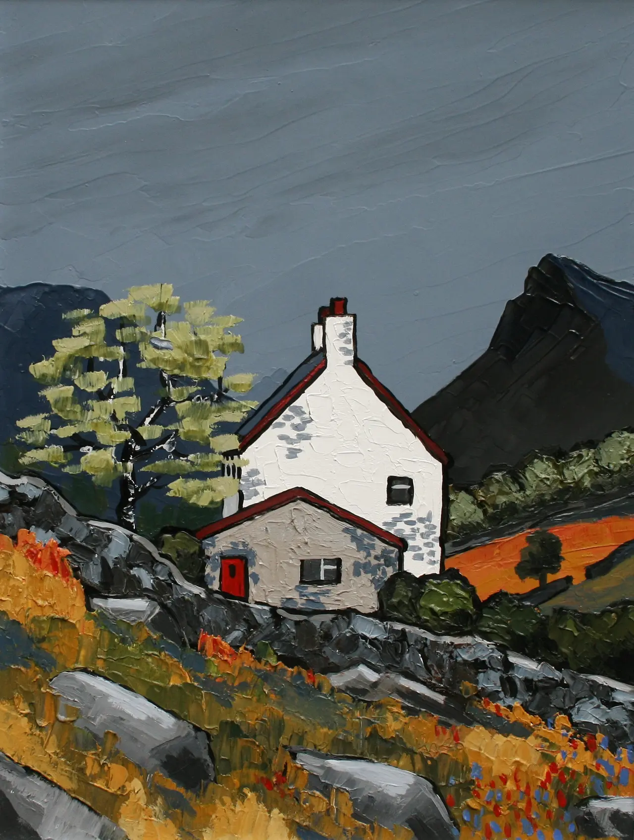 David Barnes - cottage in the carneddau