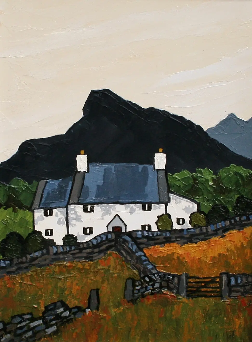 David Barnes - gwynant farm