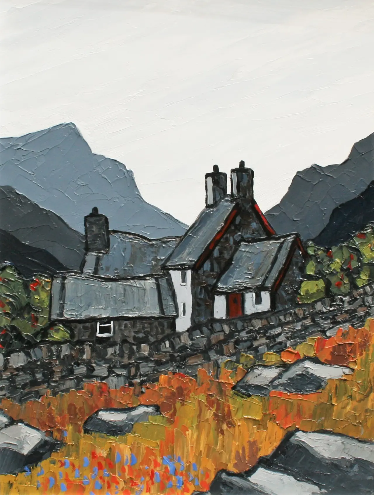 David Barnes - hill farm near hebog