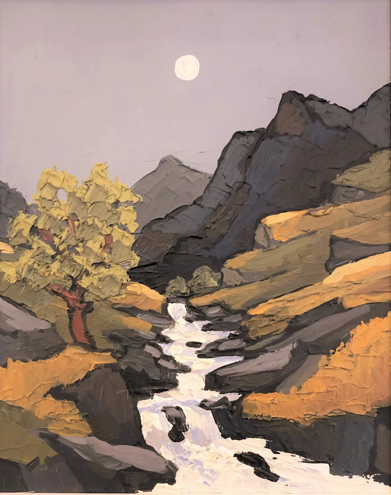 David Barnes - carneddau stream