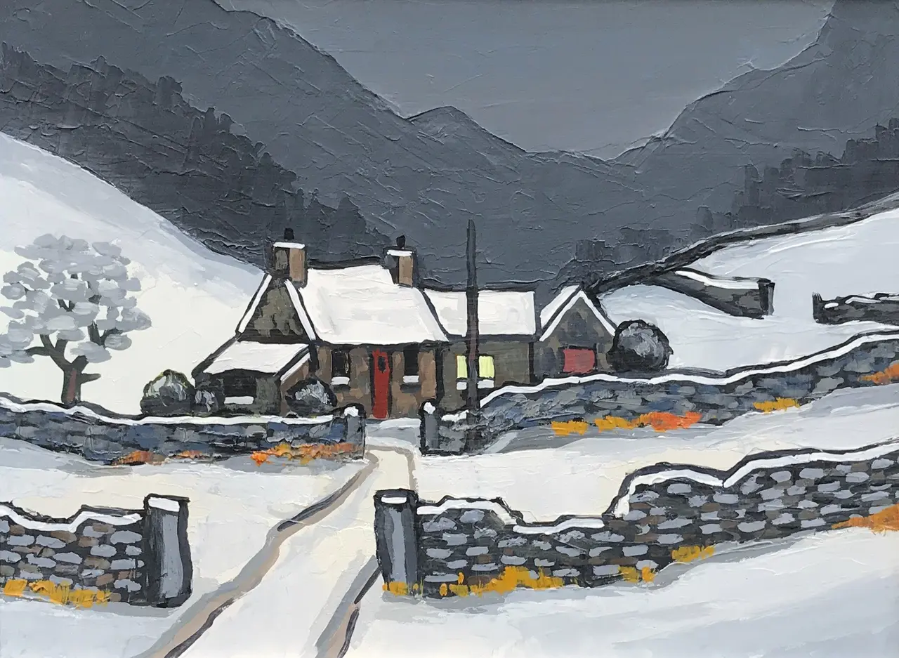 David Barnes - near dolwyddelan