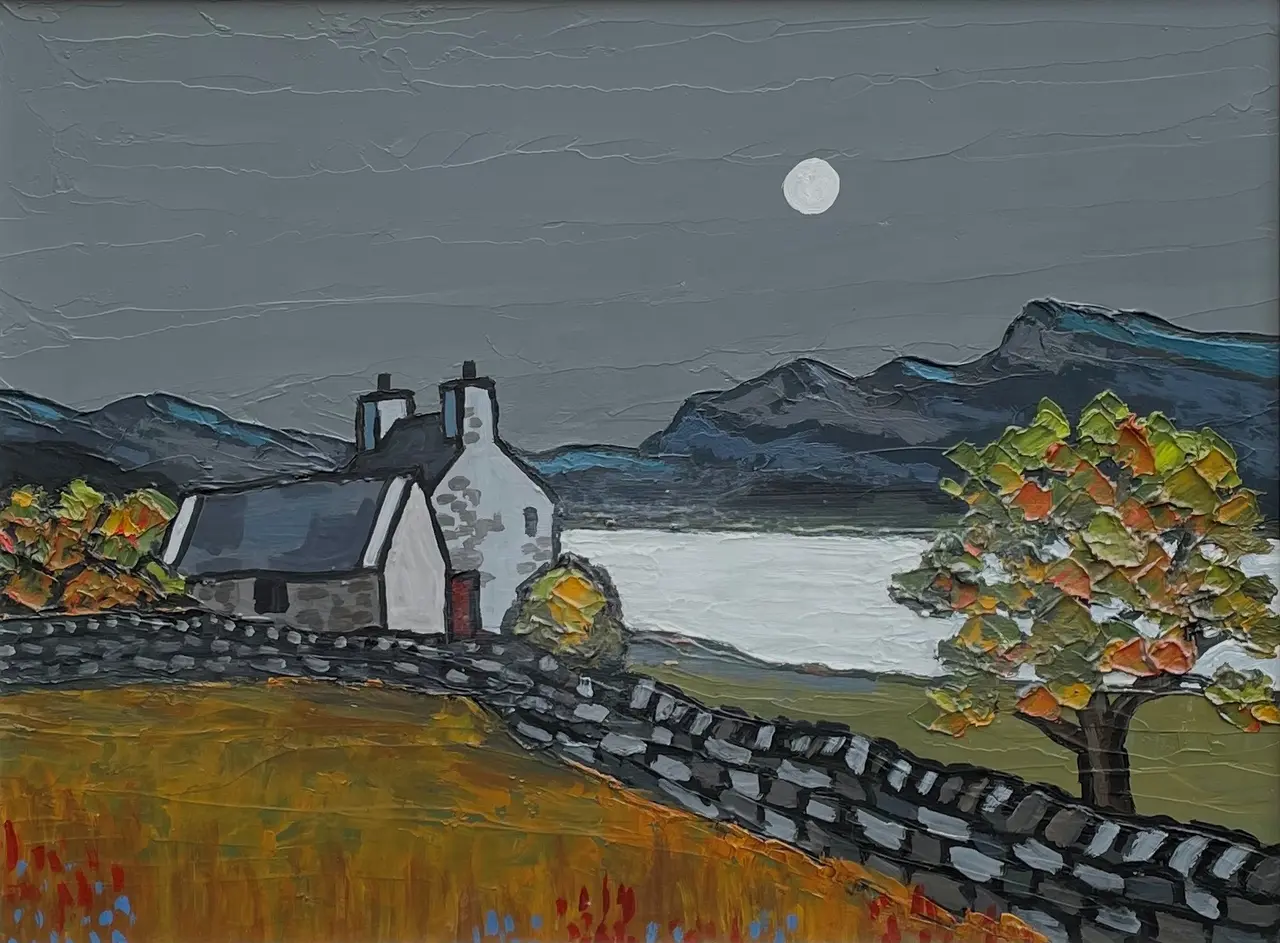 David Barnes - moonlight over the loch