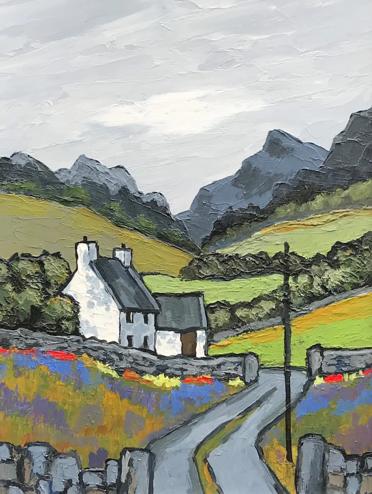 David Barnes - in the lledr, wales